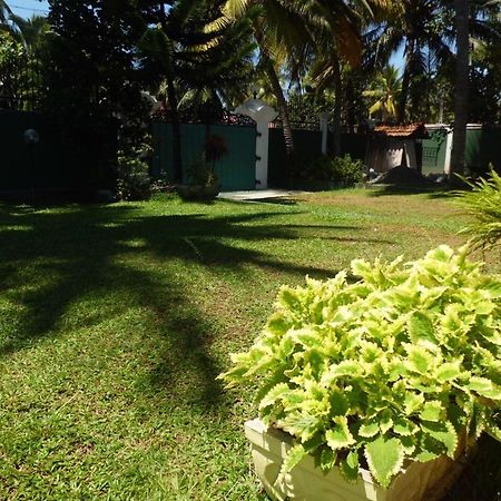 Villa W Bentota Extérieur photo