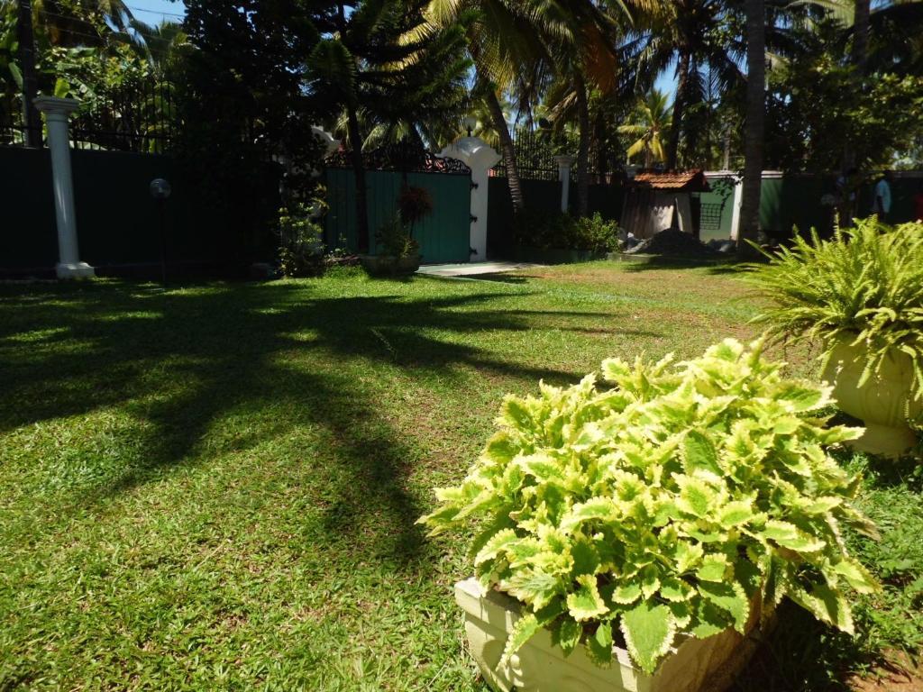 Villa W Bentota Extérieur photo